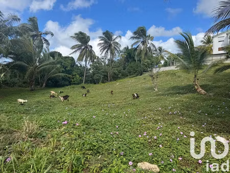 terrain à bâtir à morne-à-l’eau (97111)