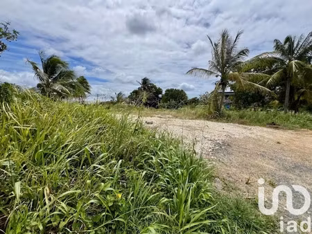terrain à bâtir à port-louis (97117)