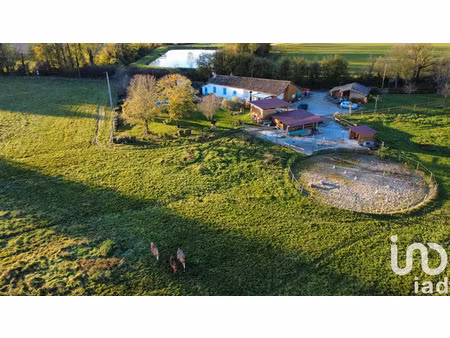 ferme à montgaillard (81630)