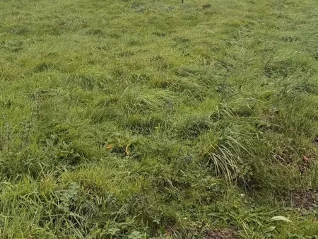 terrain à bourbon-lancy (71140)
