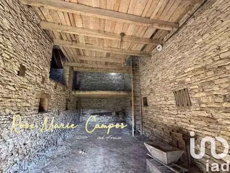 maison de campagne à saint-marcelin-de-cray (71460)