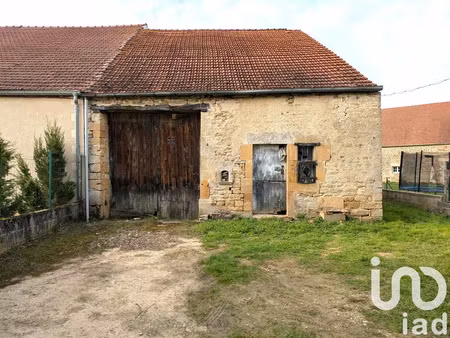 maison à saints-geosmes (52200)