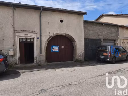 maison à martigny-les-bains (88320)