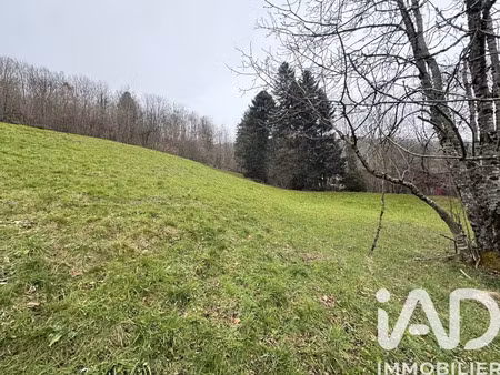 terrain à bâtir à la bresse (88250)
