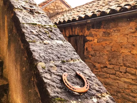 maison de village à lapanouse-de-cernon (12230)
