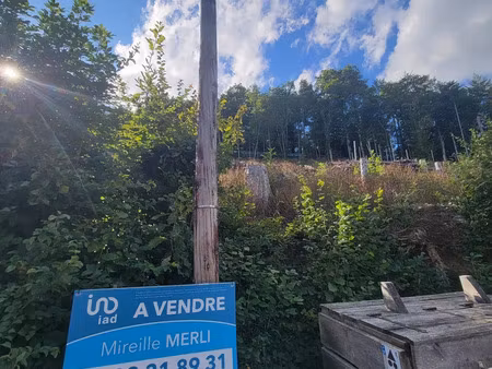 terrain à bâtir à bourbach-le-haut (68290)