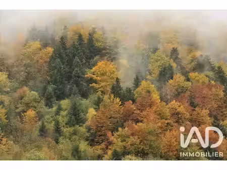 terrain agricole à la capelle-bonance (12130)