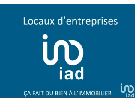 murs commerciaux à albias (82350)