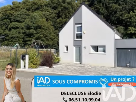 maison à seppois-le-bas (68580)