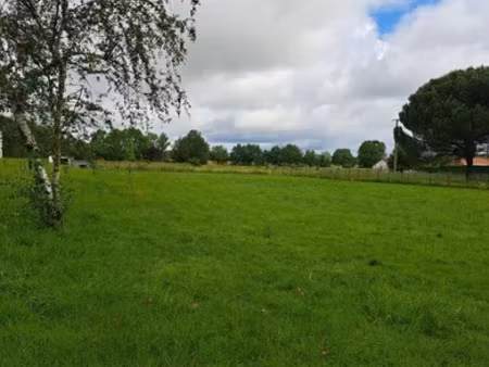 terrain à lacourt-saint-pierre (82290)