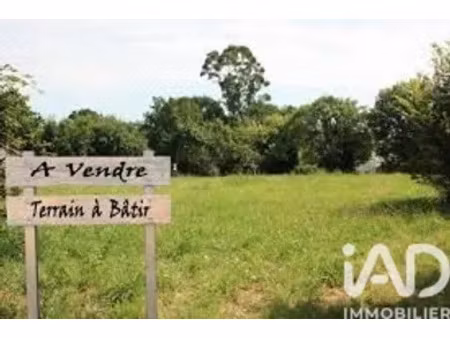 terrain à aucamville (82600)