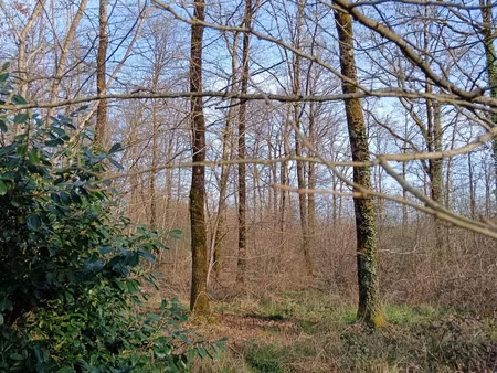 terrain à sainte-gemme (36500)