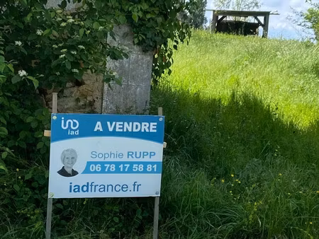 terrain à bâtir à levroux (36110)