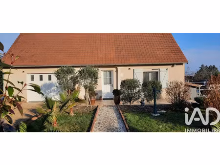 maison à mesland (41150)