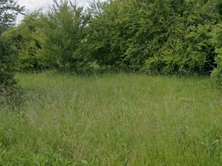 terrain à briou (41370)