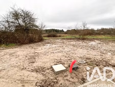 terrain à bâtir à pruniers-en-sologne (41200)