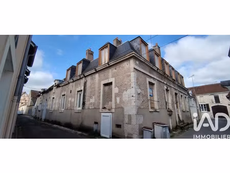 immeuble à selles-sur-cher (41130)
