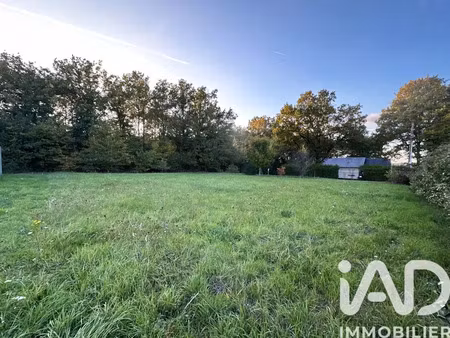 terrain à bâtir à chaumont-sur-loire (41150)