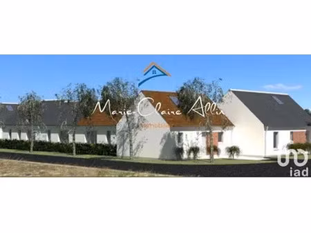 maison à montlivault (41350)