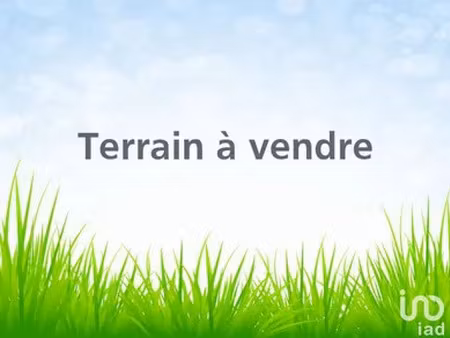 terrain à saint-gervais-la-forêt (41350)