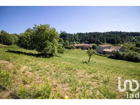 terrain à bâtir à saint-martin-des-olmes (63600)