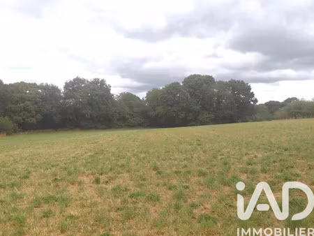 terrain à bâtir à royères (87400)