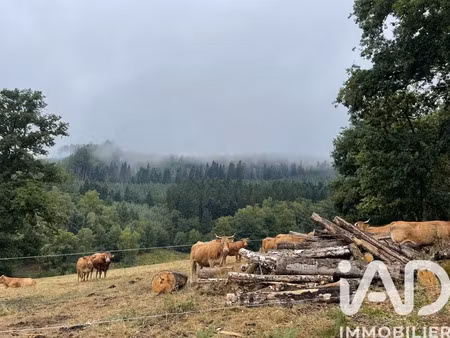 terrain à nedde (87120)
