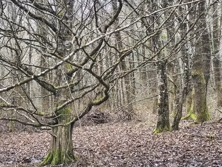 terrain à val d’issoire (87330)