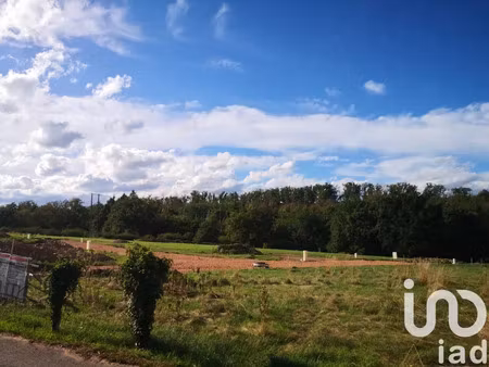 terrain à bâtir à parigny (42120)