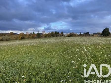terrain agricole à neuvic-entier (87130)