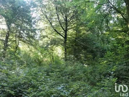 terrain à morlaix (29600)