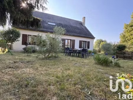 maison à brain-sur-allonnes (49650)