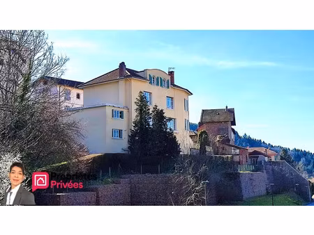 vente maison 14 pièces 320 m² à bourg-de-thizy (69240)  250 000 €