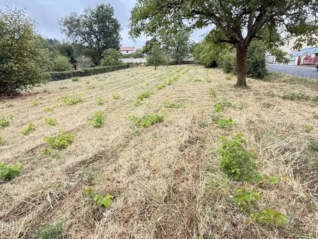 terrain à cenon-sur-vienne (86530)