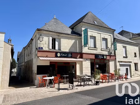 immeuble à chouzé-sur-loire (37140)
