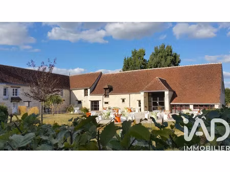 domaine à sainte-maure-de-touraine (37800)