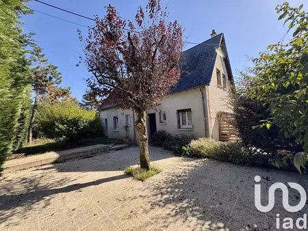 maison à auzouer-en-touraine (37110)