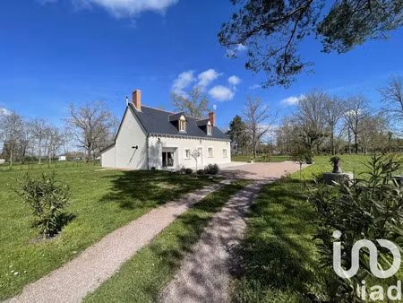 maison à la chapelle-sur-loire (37140)