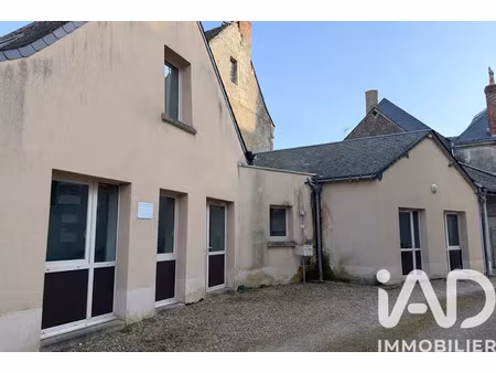 maison à neuvy-le-roi (37370)