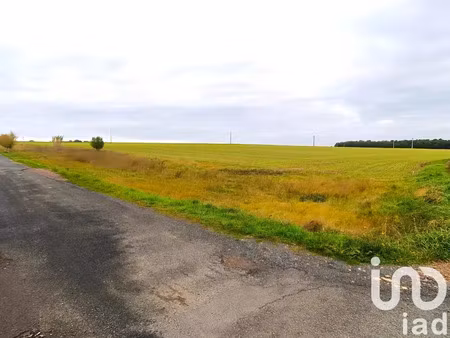 terrain à bâtir à richelieu (37120)