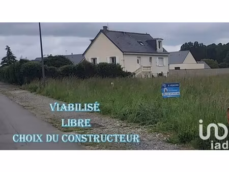 terrain à bâtir à neuillé-pont-pierre (37360)