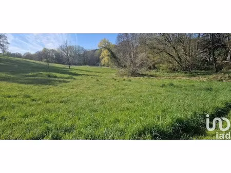terrain à neuvic (24190)