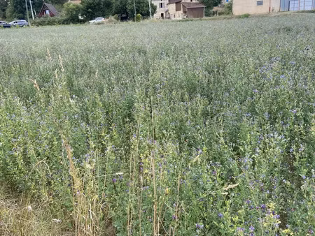 terrain à saint-cybranet (24250)