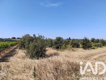 terrain à sainte cécile les vignes (84290)