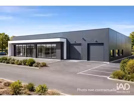 murs commerciaux à locminé (56500)