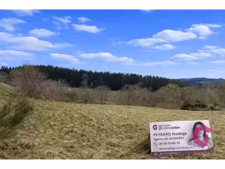 terrain à la campagne !