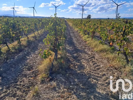 terrain agricole à canet (11200)