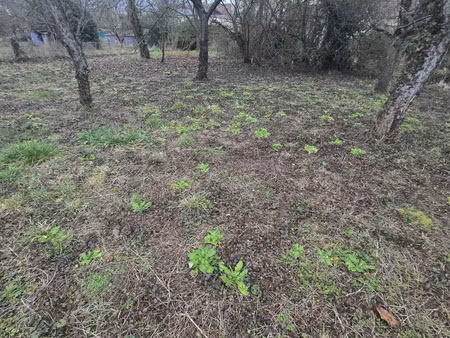 terrain à bâtir à dormans (51700)
