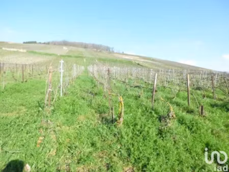 terrain à châtillon-sur-marne (51700)