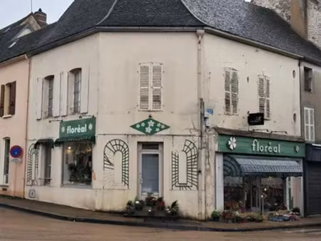 immeuble à brienon-sur-armançon (89210)